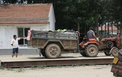 西瓜市場(chǎng)過(guò)地磅1斤1分錢(qián)